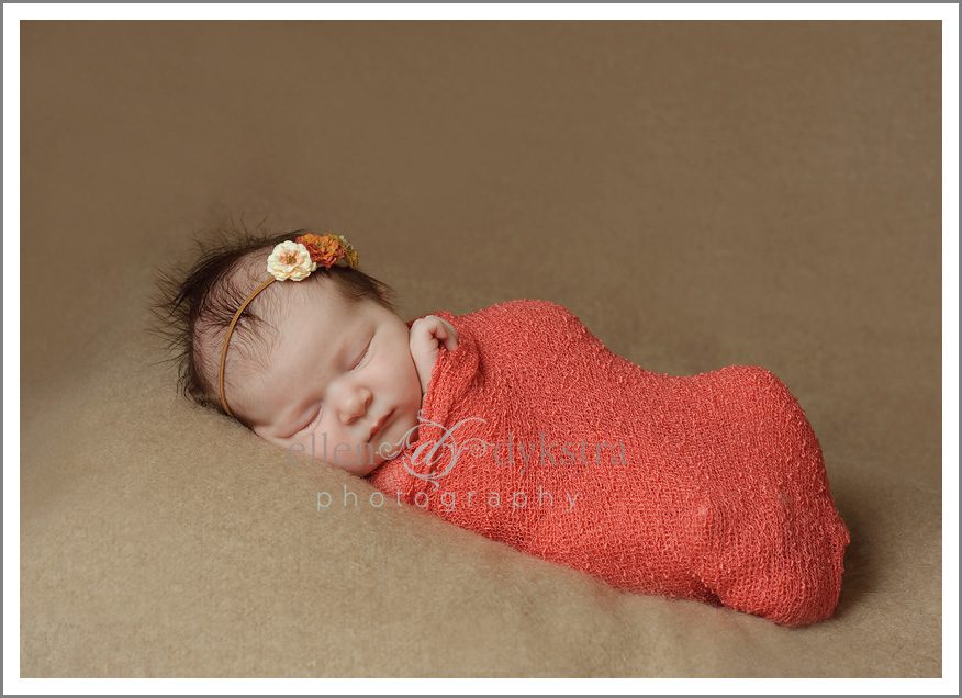 newborn_photography_southwest_michigan