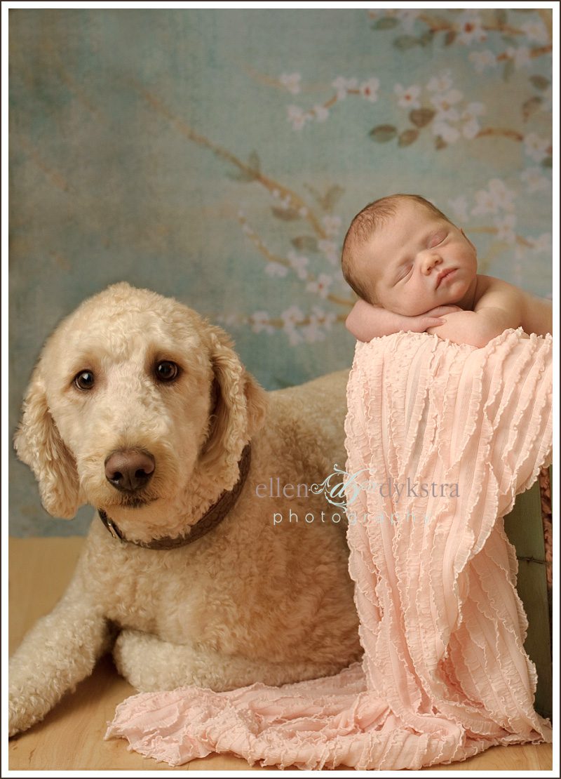 newborn_with_Goldendoodle