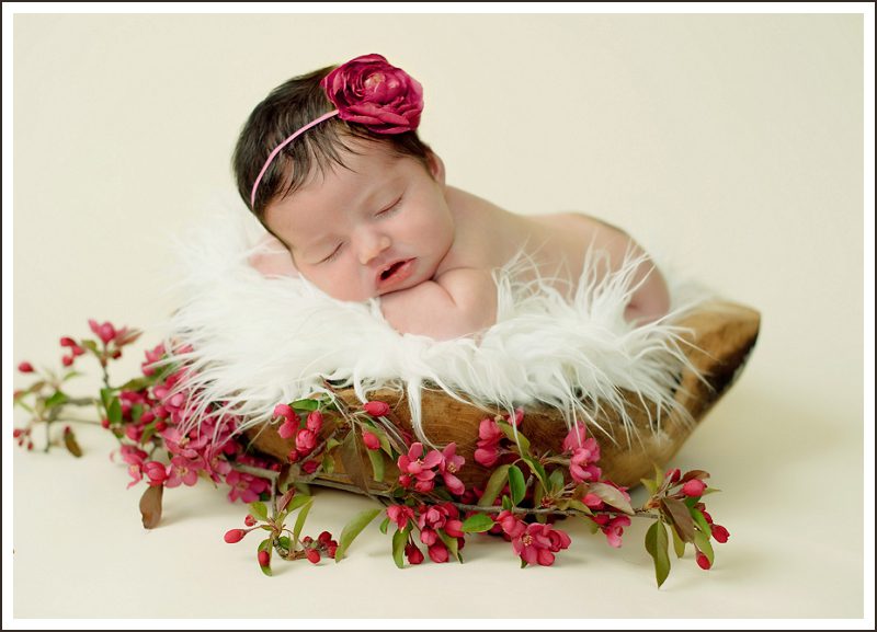newborn-in-basket-with-flowers