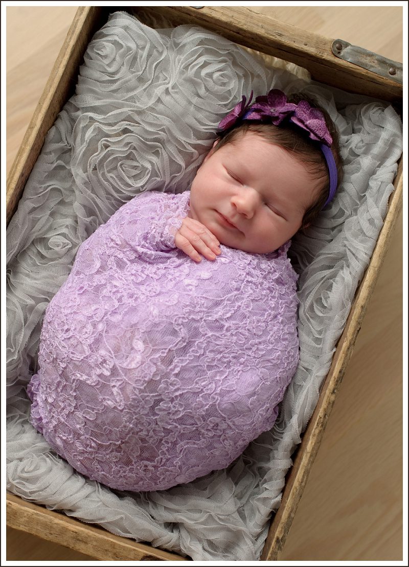 newborn-in-lavender