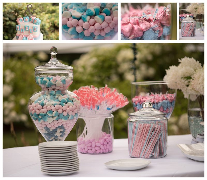 gender reveal party appetizers and snacks