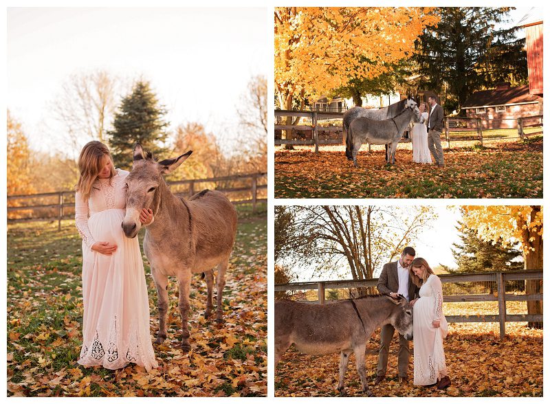 farm-maternity-pictures-with-horse-and-donkey