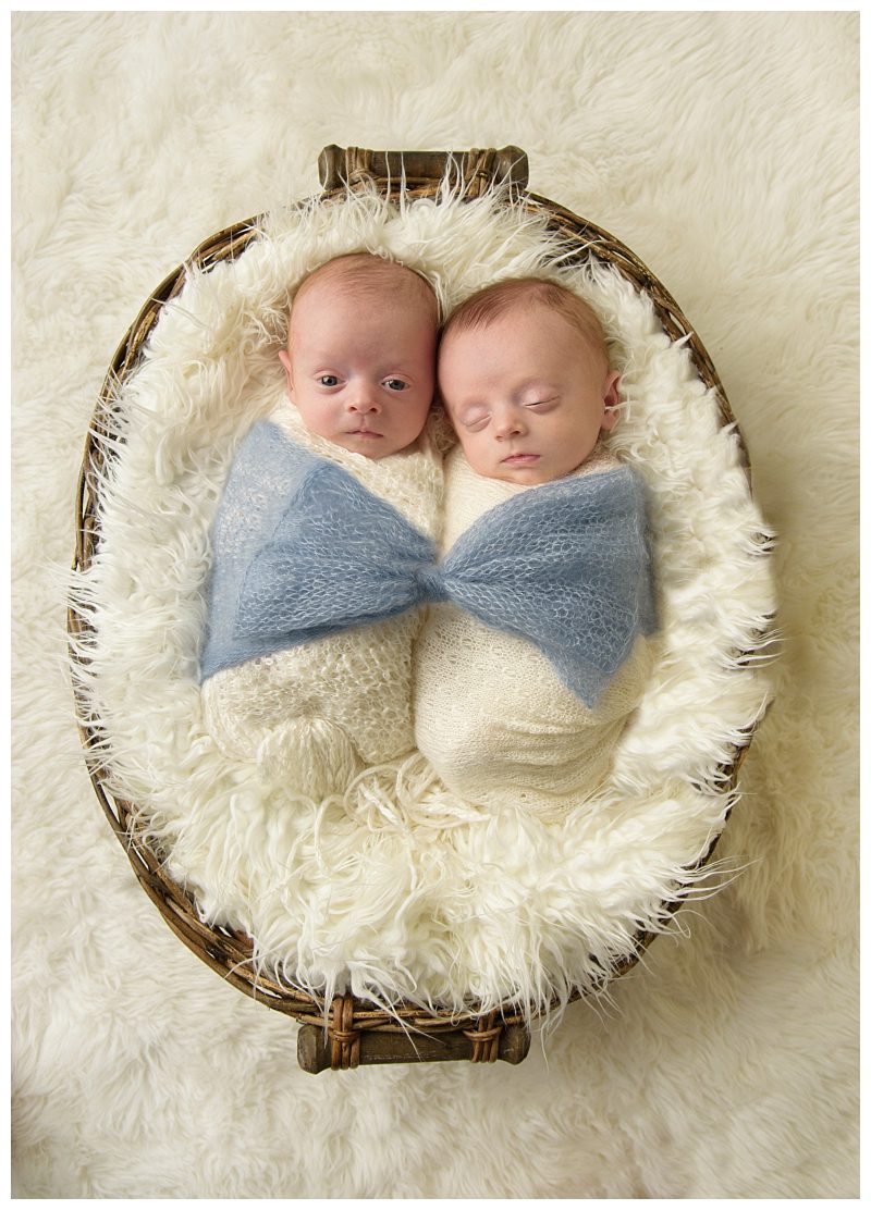 twin-baby-brothers
