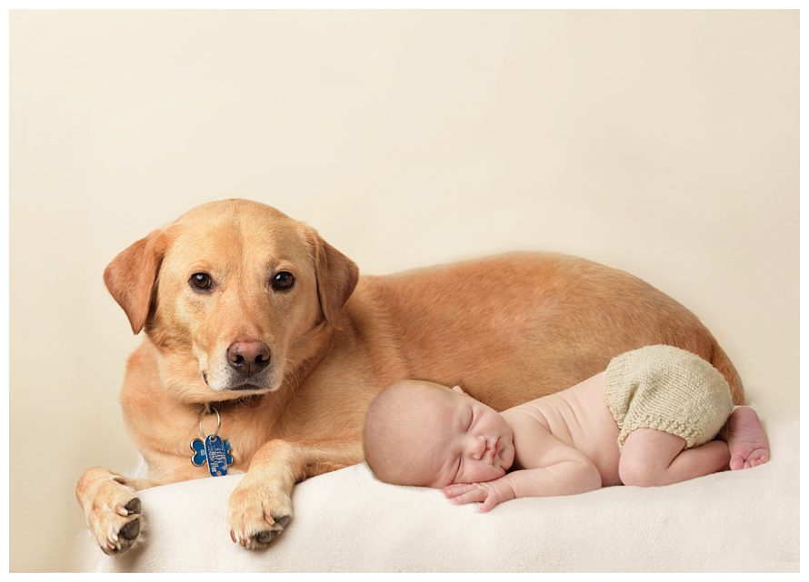 newborn-with-dog