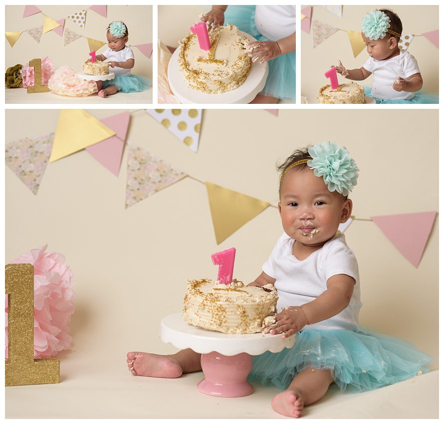 one year old's cake smash photo session