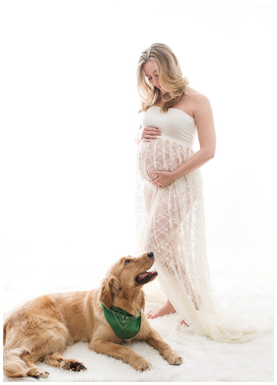 indoor-maternity-picture-with-dog