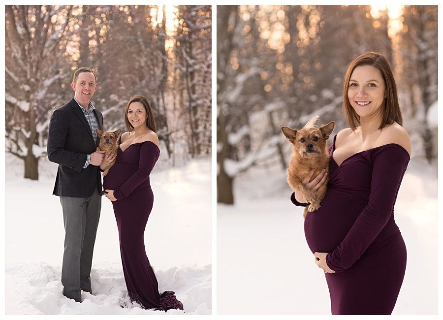snowy winter maternity photos with dog