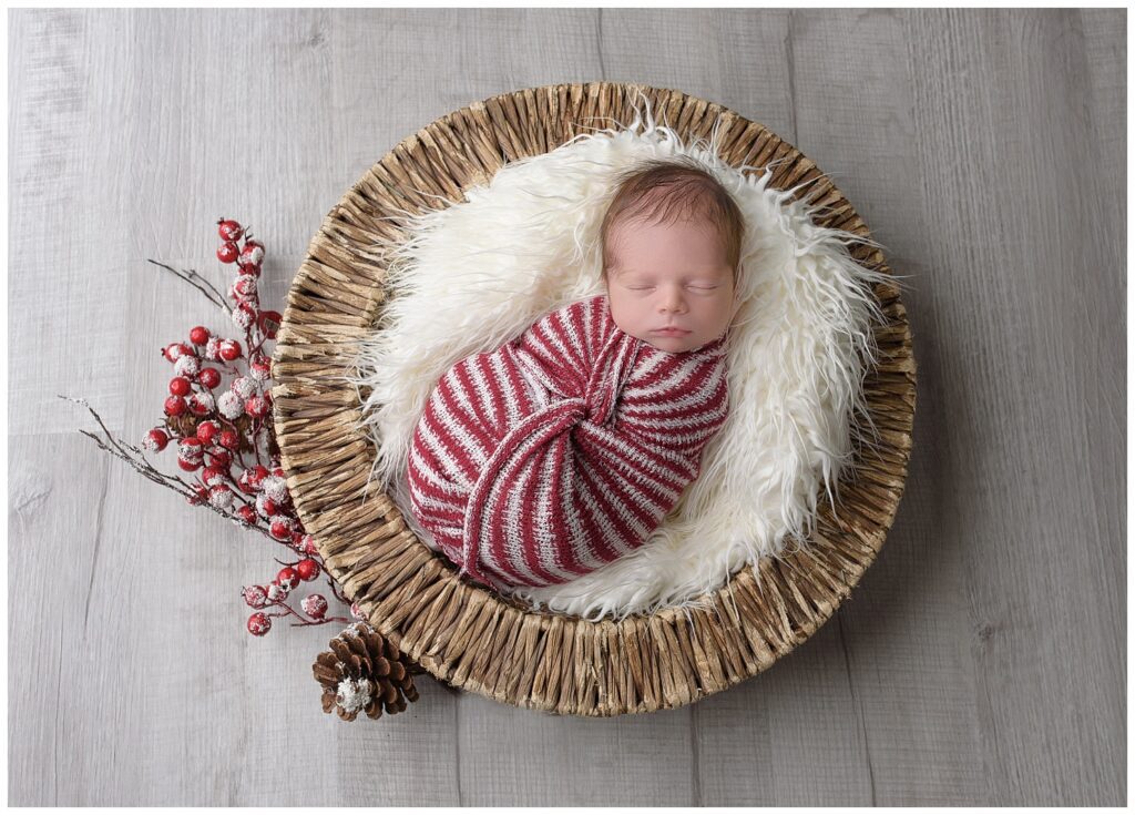 newborn boy in round basket- christmas theme