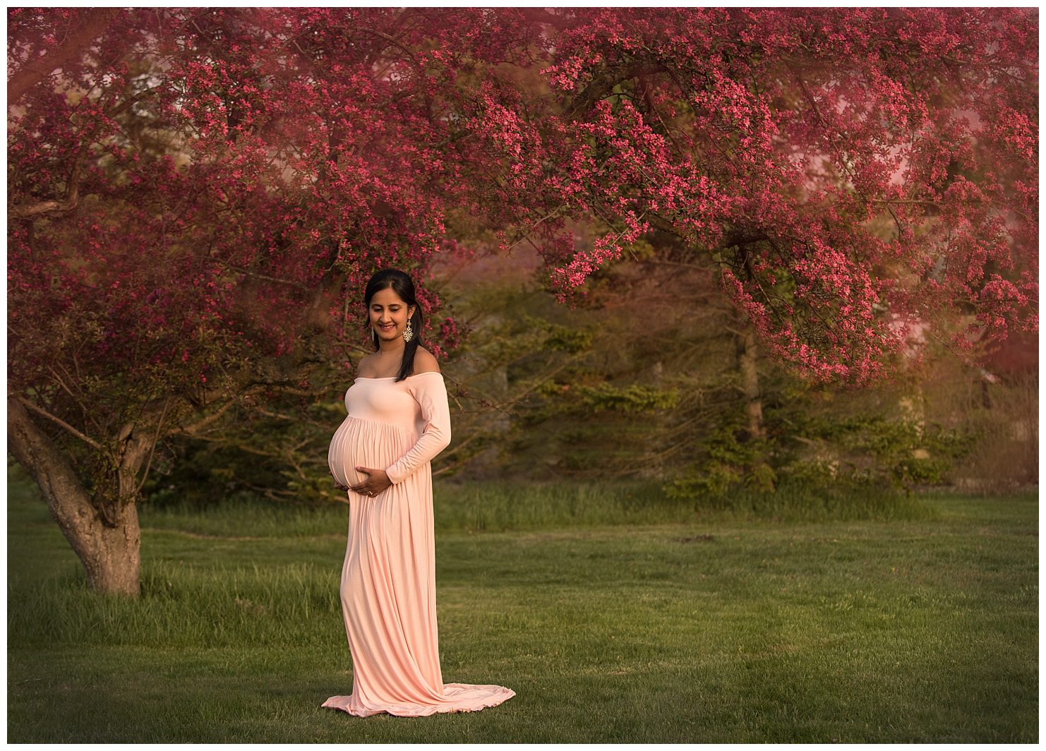 Pregnancy photo location with spring flowering trees- Leila Arboretum