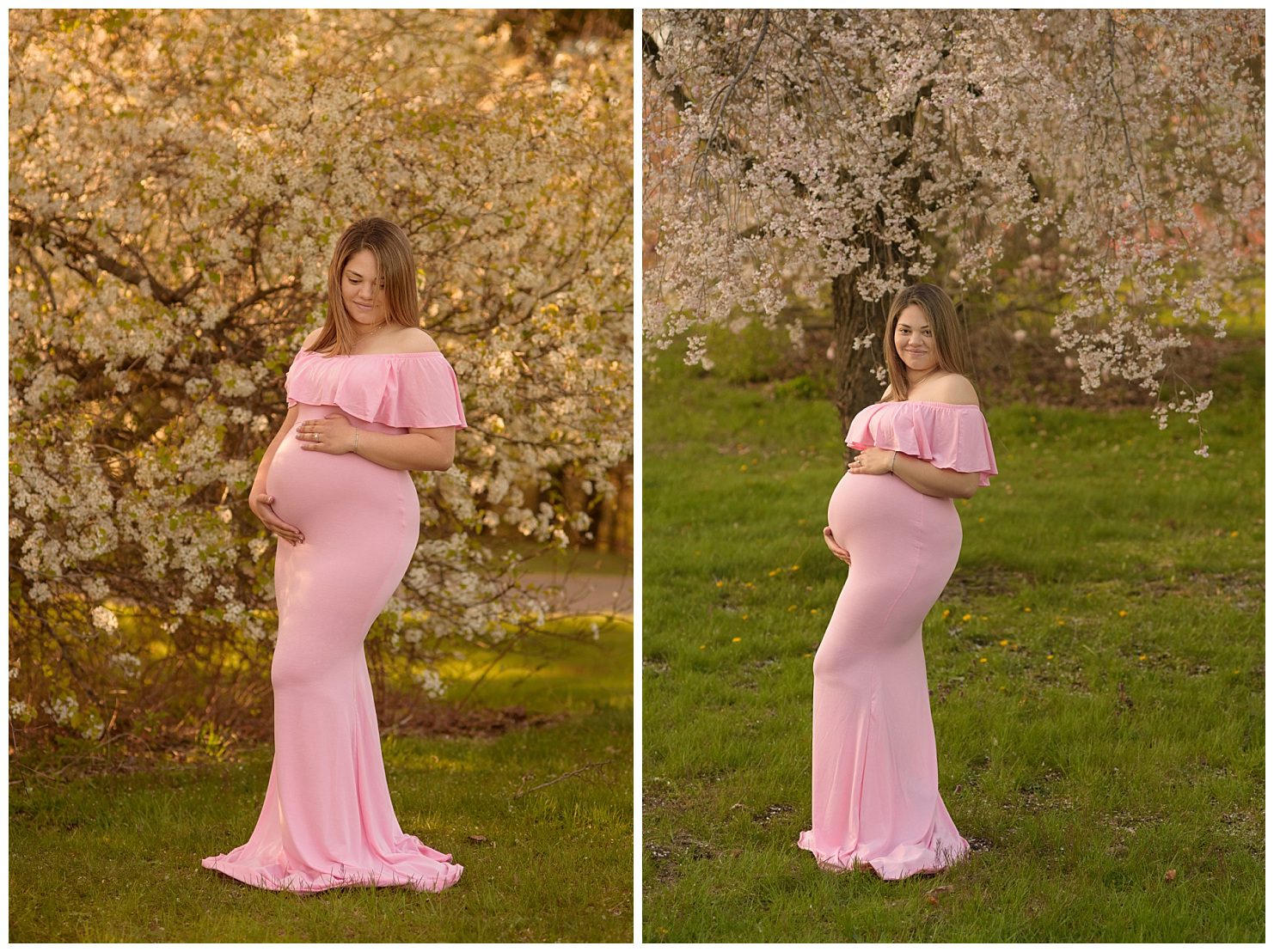 Maternity photos in spring flowering trees at Leila Arboretum
